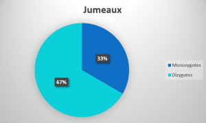 jumeaux